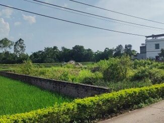 Bảng giá đền bù đất nông nghiệp năm 2024