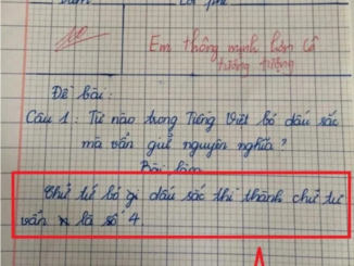 Cô giáo ra đề “Từ nào bỏ dấu sắc vẫn giữ nguyên nghĩa”, đáp án của bé tiểu học nhận điểm 10 tuyệt đối