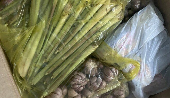 Mẹ chồng gửi lên cho túi rau củ, tôi ngại bẩn đem cho bạn rồi bẽ bàng khi họ trả lại Mẹ chồng gửi lên cho túi rau củ, tôi ngại bẩn đem cho bạn rồi bẽ bàng khi họ trả lại