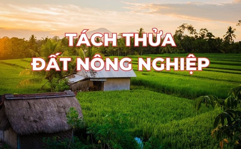 dat-nong-nghiep-chuyen-sang-dat-o-1421-2 Đất nông nghiệp được chuyển thành đất thổ cư theo quy định