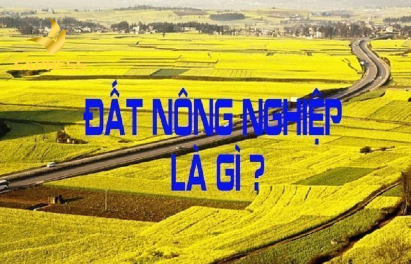 Đất nông nghiệp được dùng với mục đích gì?