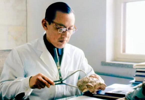 xoáy tóc, xoáy đầu
